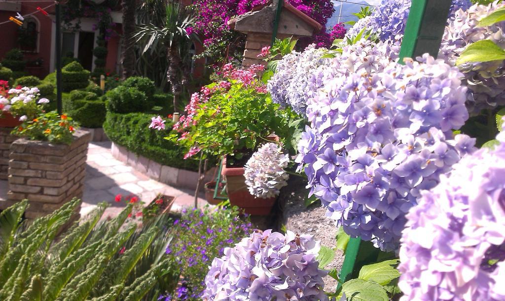 Apartment City Garden โกตอร์ ห้อง รูปภาพ